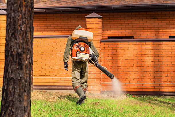 Bed Bug Clearance Verification and Documentation in Ronan
